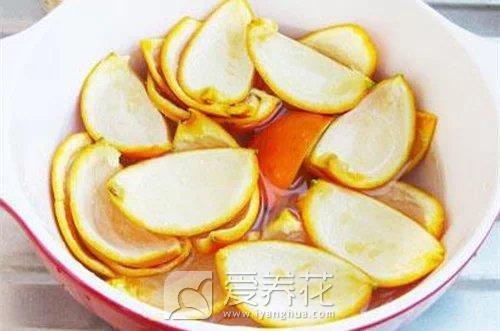 花盆土有长虫子怎么办图片