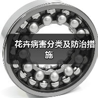 花卉病害分类及防治措施（图1）