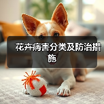 花卉病害分类及防治措施（图2）