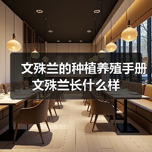 文殊兰的种植养殖手册 文殊兰长什么样(图2) 文殊兰的种植养殖手册 文殊兰长什么样(图2)
