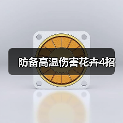 防备高温伤害花卉4招(图4) 防备高温伤害花卉4招(图4)