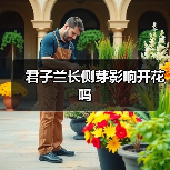 君子兰长侧芽影响开花吗（图1）