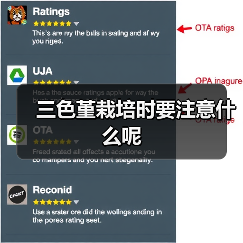 三色堇栽培时要注意什么呢(图2) 三色堇栽培时要注意什么呢(图2)