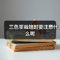三色堇栽培时要注意什么呢(图3) 三色堇栽培时要注意什么呢(图3)