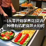 [从零开始学养花]花卉种植有机肥臭味大如何解决（图2）