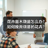 花卉苗木烧苗怎么办?如何挽救烧苗的花卉?(图3) 花卉苗木烧苗怎么办?如何挽救烧苗的花卉?(图3)