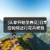 [从零开始学养花]日常应如何进行花卉修剪（图4）