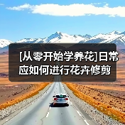 [从零开始学养花]日常应如何进行花卉修剪（图3）