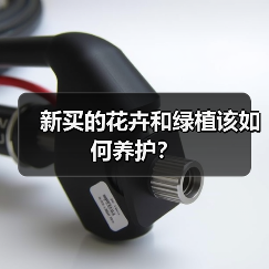 新买的花卉和绿植该如何养护?(图1) 新买的花卉和绿植该如何养护?(图1)