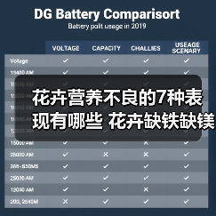 花卉营养不良的7种表现有哪些 花卉缺铁缺镁(图4) 花卉营养不良的7种表现有哪些 花卉缺铁缺镁(图4)