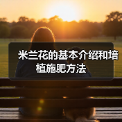 米兰花的基本介绍和培植施肥方法（图2）