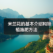 米兰花的基本介绍和培植施肥方法（图4）