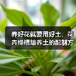 养好花就要用好土,花卉绿植培养土的配制方法和注意事项(图4) 养好花就要用好土,花卉绿植培养土的配制方法和注意事项(图4)