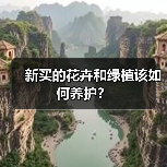 新买的花卉和绿植该如何养护?(图2) 新买的花卉和绿植该如何养护?(图2)