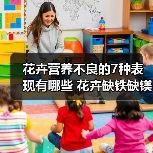 花卉营养不良的7种表现有哪些 花卉缺铁缺镁(图1) 花卉营养不良的7种表现有哪些 花卉缺铁缺镁(图1)