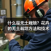什么是无土栽培？花卉的无土栽培方法和技术有哪些？（图1）