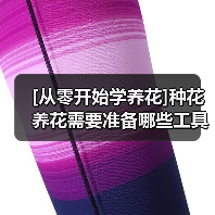 [从零开始学养花]种花养花需要准备哪些工具用品（图2）