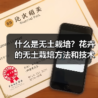 什么是无土栽培？花卉的无土栽培方法和技术有哪些？（图3）