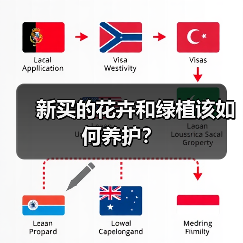 新买的花卉和绿植该如何养护?(图3) 新买的花卉和绿植该如何养护?(图3)
