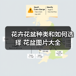 花卉花盆种类和如何选择 花盆图片大全(图4) 花卉花盆种类和如何选择 花盆图片大全(图4)