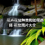 花卉花盆种类和如何选择 花盆图片大全(图3) 花卉花盆种类和如何选择 花盆图片大全(图3)