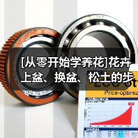 [从零开始学养花]花卉上盆、换盆、松土的步骤和方法（图1）