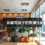 识破花贩子的欺骗伎俩(图1) 识破花贩子的欺骗伎俩(图1)
