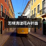 怎样清理花卉叶面（图3）