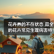 花卉养的不在状态 最全的花卉常见生理病害特征和防治手册(图1) 花卉养的不在状态 最全的花卉常见生理病害特征和防治手册(图1)