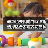 养花也要因地制宜 如何选择适合家庭养花品种(图2) 养花也要因地制宜 如何选择适合家庭养花品种(图2)