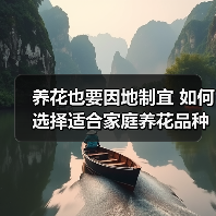 养花也要因地制宜 如何选择适合家庭养花品种(图1) 养花也要因地制宜 如何选择适合家庭养花品种(图1)