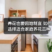 养花也要因地制宜 如何选择适合家庭养花品种(图4) 养花也要因地制宜 如何选择适合家庭养花品种(图4)