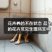 花卉养的不在状态 最全的花卉常见生理病害特征和防治手册(图2) 花卉养的不在状态 最全的花卉常见生理病害特征和防治手册(图2)