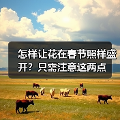 怎样让花在春节照样盛开?只需注意这两点(图2) 怎样让花在春节照样盛开?只需注意这两点(图2)
