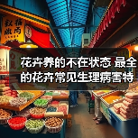花卉养的不在状态 最全的花卉常见生理病害特征和防治手册(图3) 花卉养的不在状态 最全的花卉常见生理病害特征和防治手册(图3)