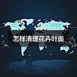 怎样清理花卉叶面（图4）