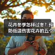 花卉冬季怎样过冬?预防低温伤害花卉的五个方面(图2) 花卉冬季怎样过冬?预防低温伤害花卉的五个方面(图2)