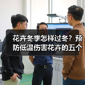 花卉冬季怎样过冬?预防低温伤害花卉的五个方面(图3) 花卉冬季怎样过冬?预防低温伤害花卉的五个方面(图3)