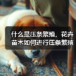 什么是压条繁殖,花卉苗木如何进行压条繁殖(图2) 什么是压条繁殖,花卉苗木如何进行压条繁殖(图2)