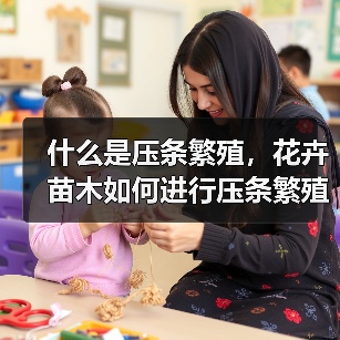 什么是压条繁殖,花卉苗木如何进行压条繁殖(图4) 什么是压条繁殖,花卉苗木如何进行压条繁殖(图4)