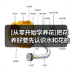 [从零开始学养花]把花养好要先认识水和花的关系（图1）