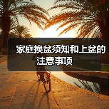 家庭换盆须知和上盆的注意事项（图4）
