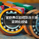 家庭养花如何防治土壤盐碱化板结（图1）