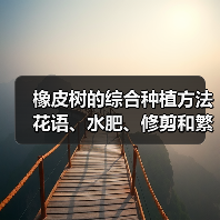 橡皮树的综合种植方法 花语、水肥、修剪和繁殖(图2) 橡皮树的综合种植方法 花语、水肥、修剪和繁殖(图2)