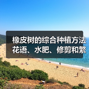 橡皮树的综合种植方法 花语、水肥、修剪和繁殖(图3) 橡皮树的综合种植方法 花语、水肥、修剪和繁殖(图3)