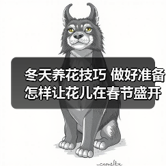 冬天养花技巧 做好准备怎样让花儿在春节盛开(图1) 冬天养花技巧 做好准备怎样让花儿在春节盛开(图1)