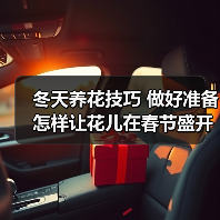 冬天养花技巧 做好准备怎样让花儿在春节盛开(图2) 冬天养花技巧 做好准备怎样让花儿在春节盛开(图2)