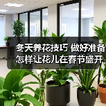 冬天养花技巧 做好准备怎样让花儿在春节盛开(图3) 冬天养花技巧 做好准备怎样让花儿在春节盛开(图3)