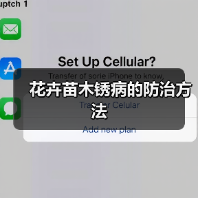 花卉苗木锈病的防治方法(图3) 花卉苗木锈病的防治方法(图3)