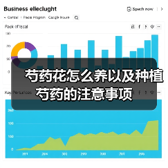 芍药花怎么养以及种植芍药的注意事项(图4) 芍药花怎么养以及种植芍药的注意事项(图4)